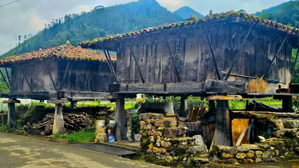 Espinareu, espinaredo. Hórreos y panelas en asturias