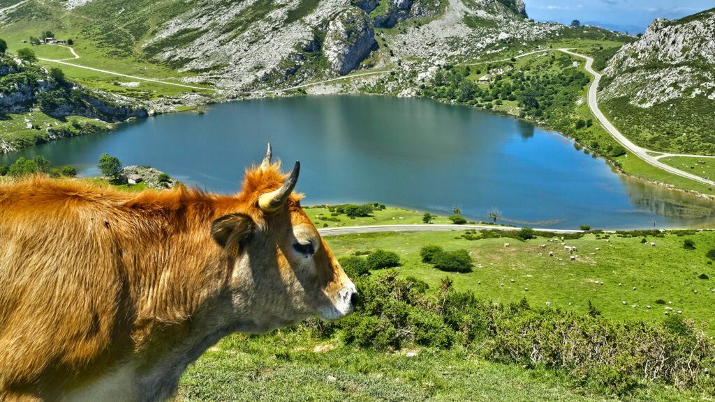 Lagos de Covadonga, Asturias.